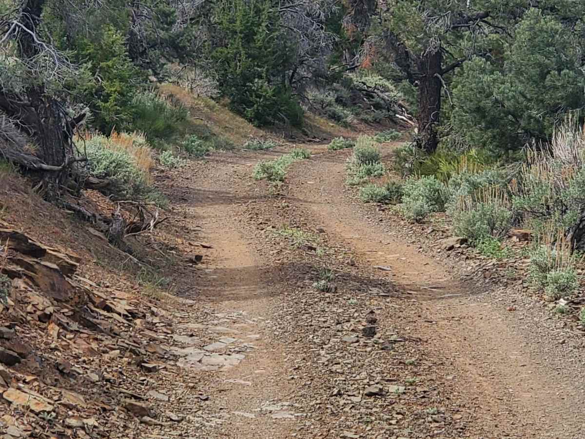 Comet Mine Road trail photo
