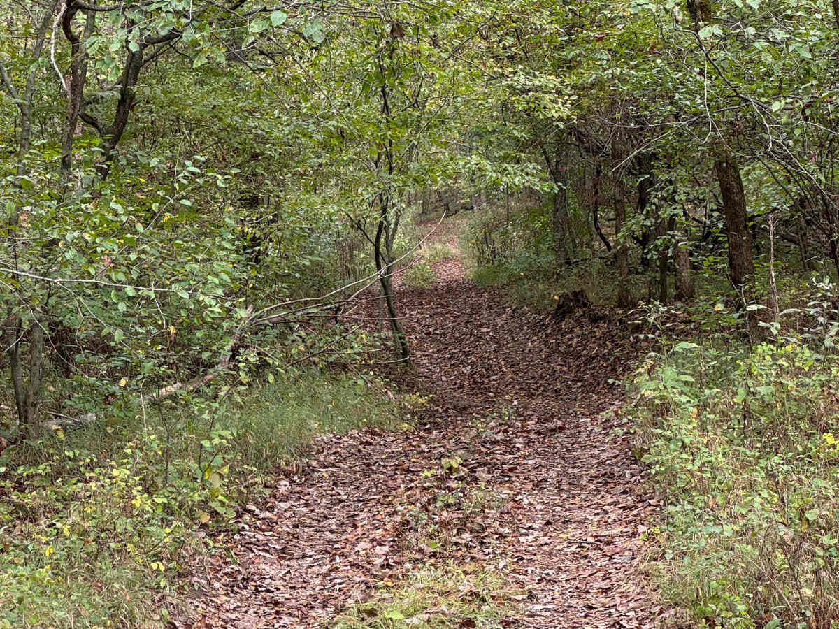 Ranger Smith photo 3