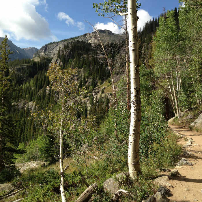 Dream Lake Trail Near Dream Lake Trail