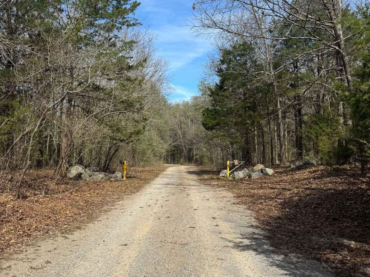 Lake Of Egypt Campground Drive - FS 871A trail photo