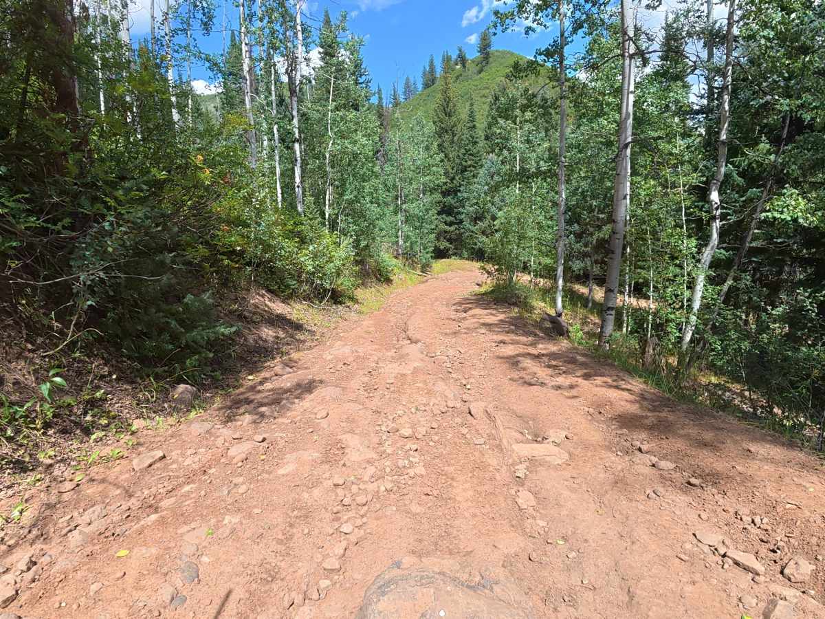 Fawn Creek Road photo 5