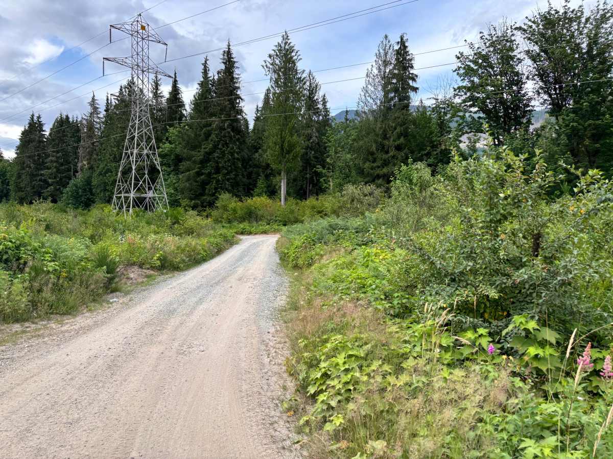 Sauk River Forest Loop photo 3