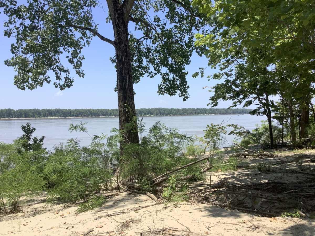 Cat Island River Trail trail photo