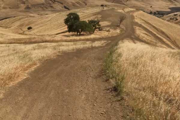 Juniper Trail