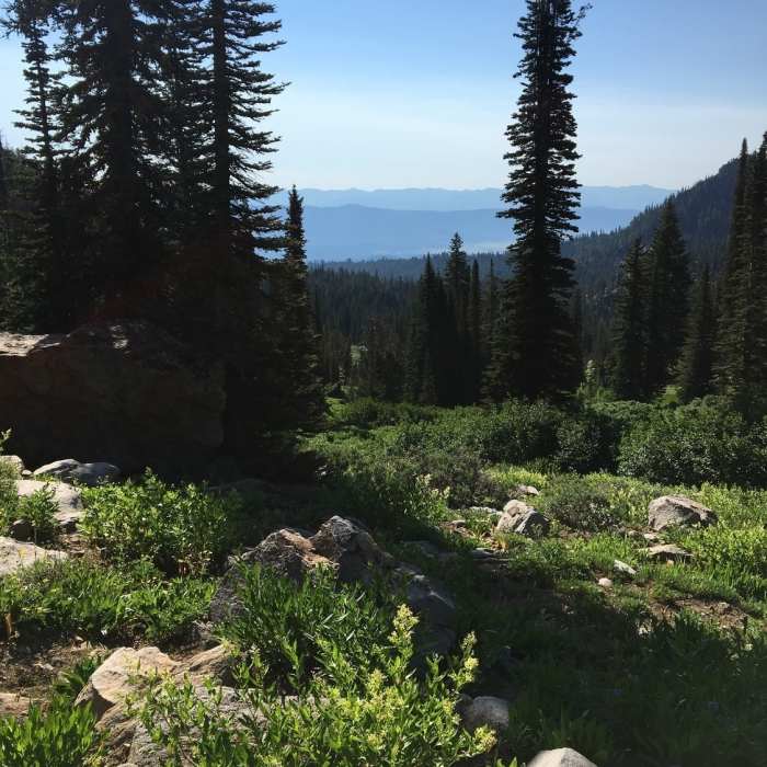 Near Blue Lake Trail