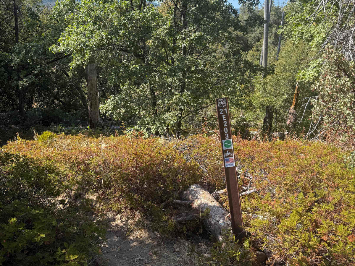 21E203 trail photo