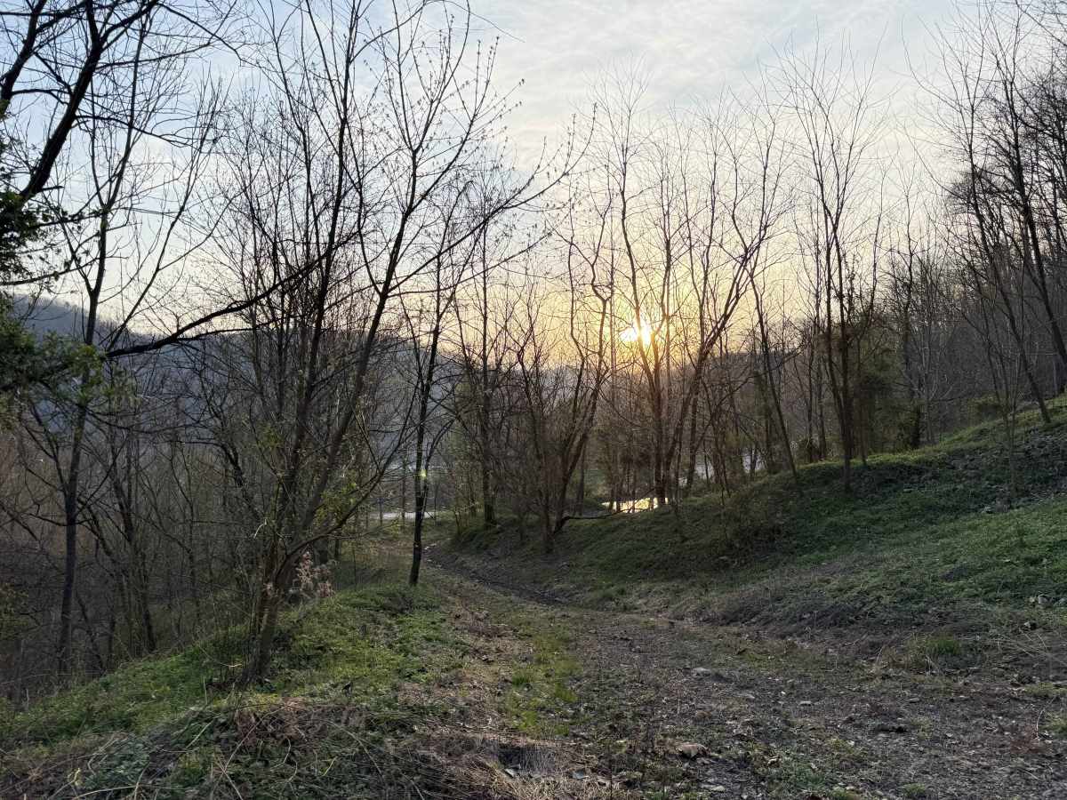 Q35 photo 3