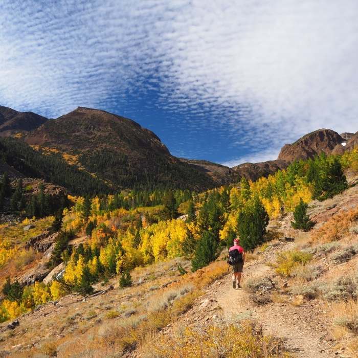 Near Lundy Canyon Trail #24E01