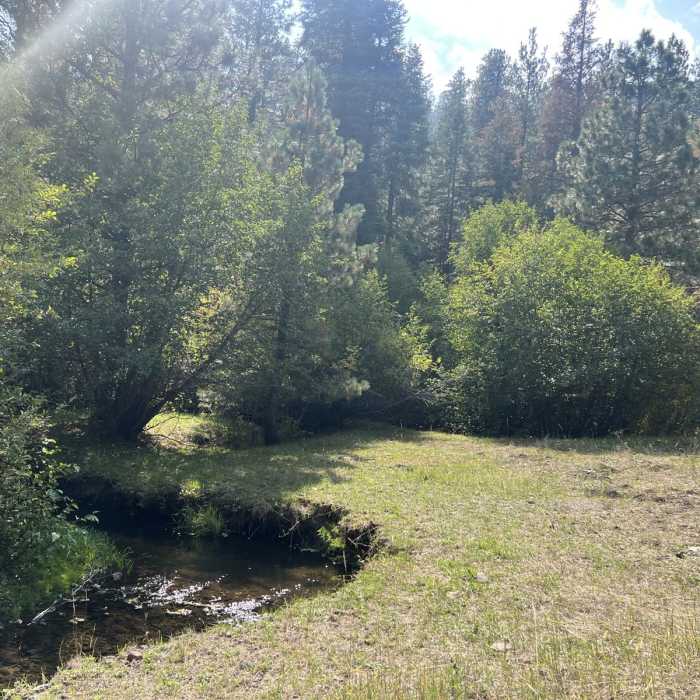 Near Mill Trailhead to Vee Lake