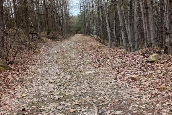 Trail 11E - Rock Run Recreation Area