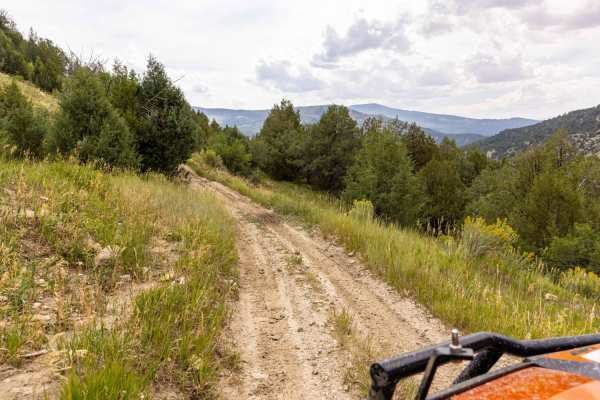 Pinchot Trail