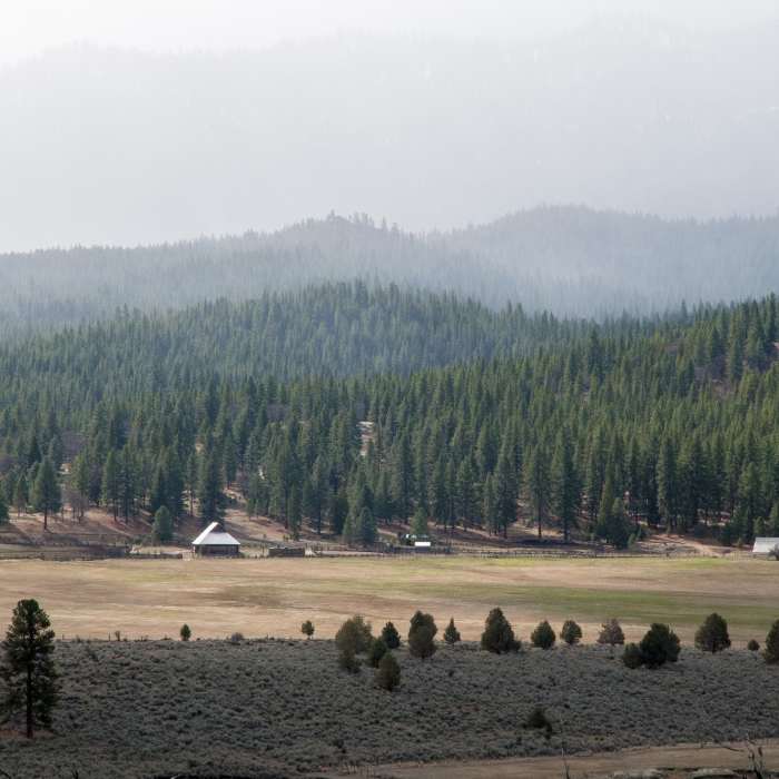Near Lassen Creek Conservation Area Trail