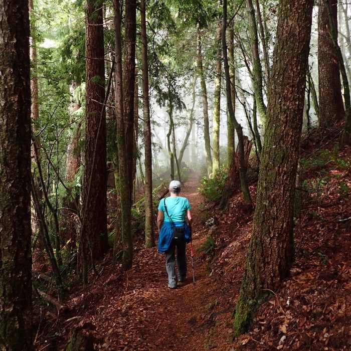 Near Humbug Mountain Trail