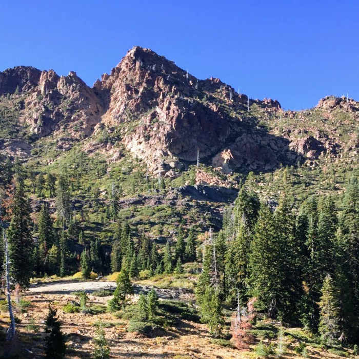 Near Seiad Valley to Crook and Green Pass Trailhead Near Seiad Valley to Crook and Green Pass Trailhead