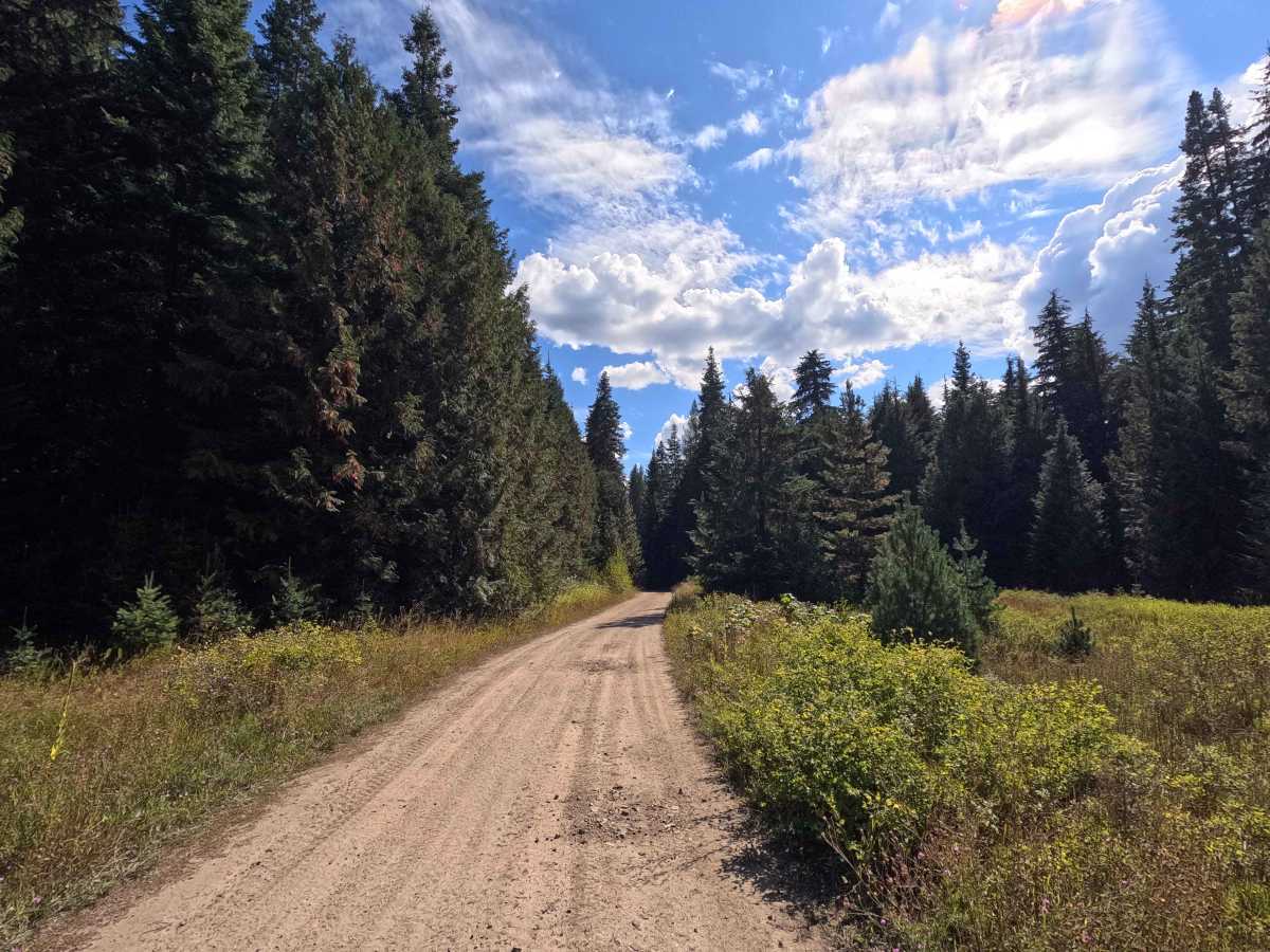 Upper West Branch - FS 1102 photo 5