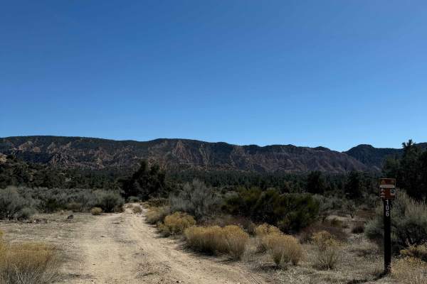 Quatal Canyon