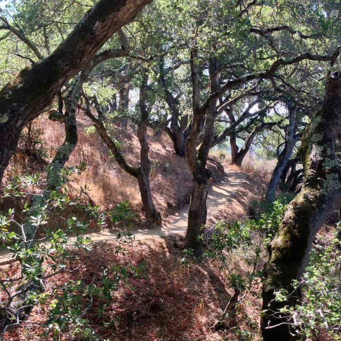 Near Dick Bishop Trail