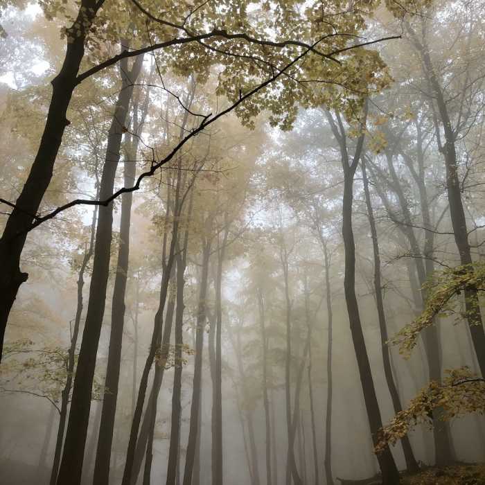 Near Bear Mountain Loop