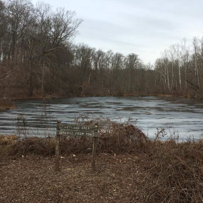 Near Pennypack Trail - Montgomery County