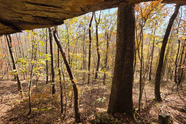 3 Caves