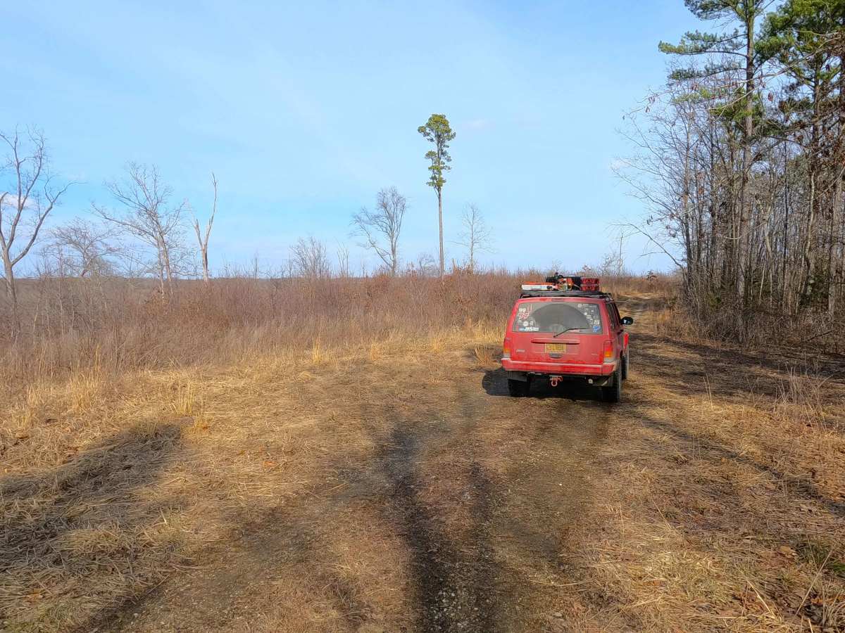 Tick Hollow - FS 423A photo 6