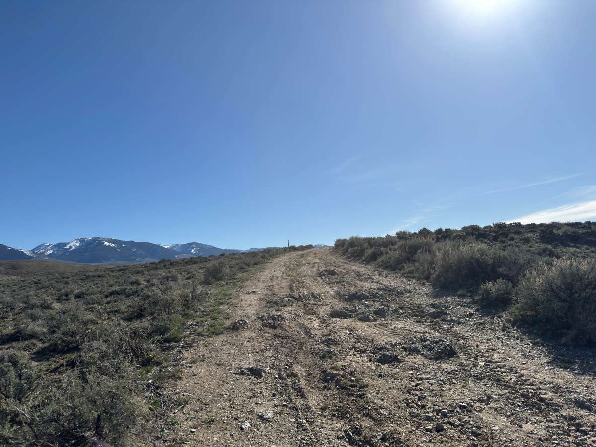 BLM 122 photo 6