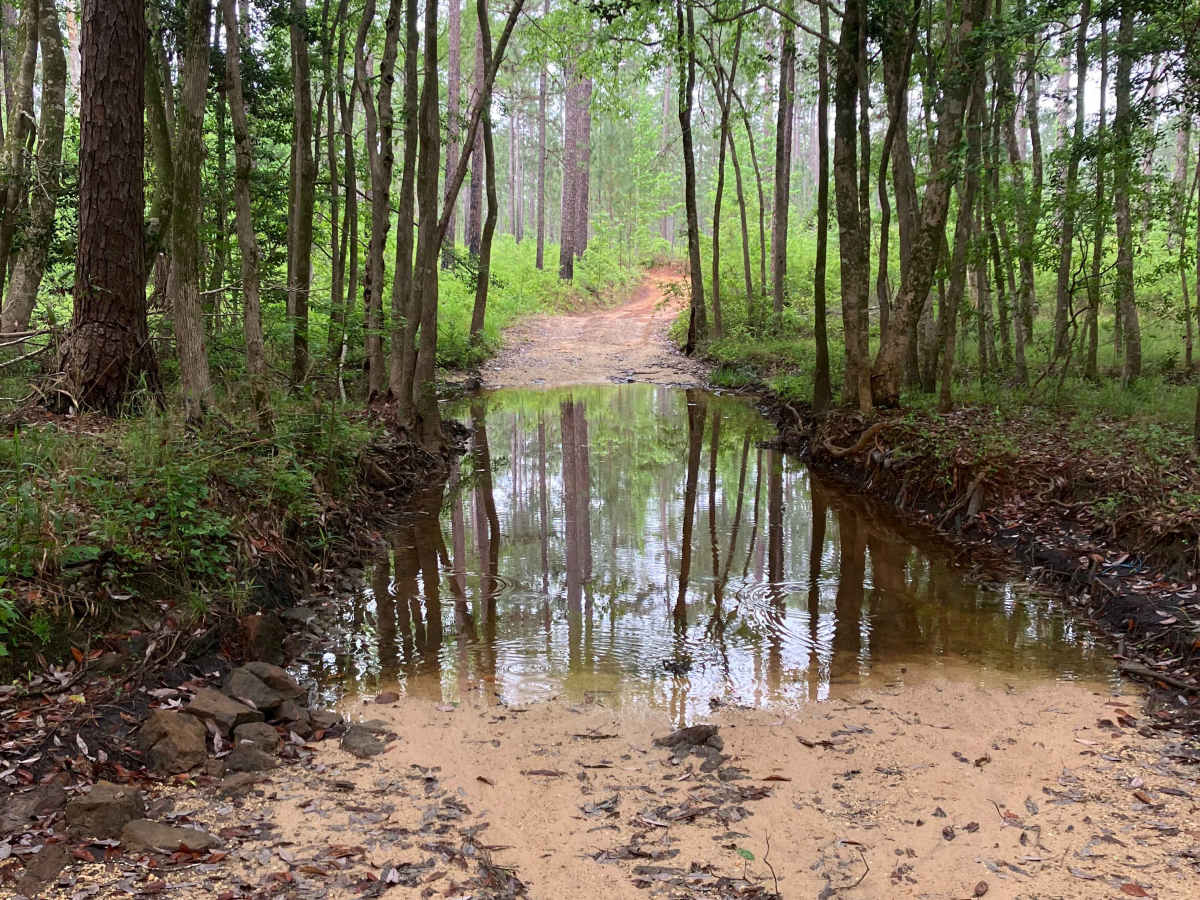 C52 trail photo