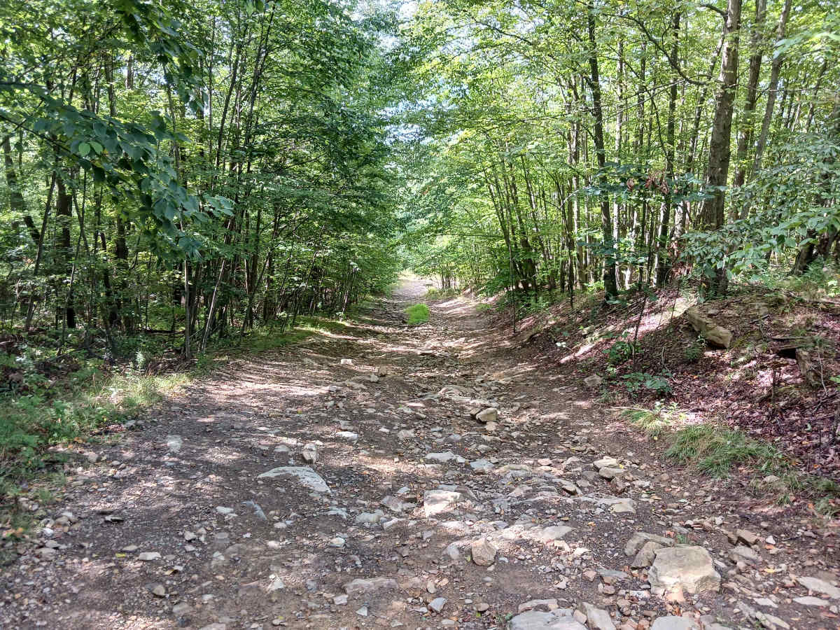 Radio Road - Rock Run Recreation Area trail photo
