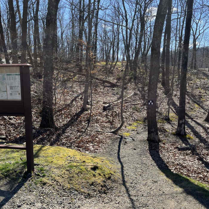 Near Silas Condict Loop Near Silas Condict Loop
