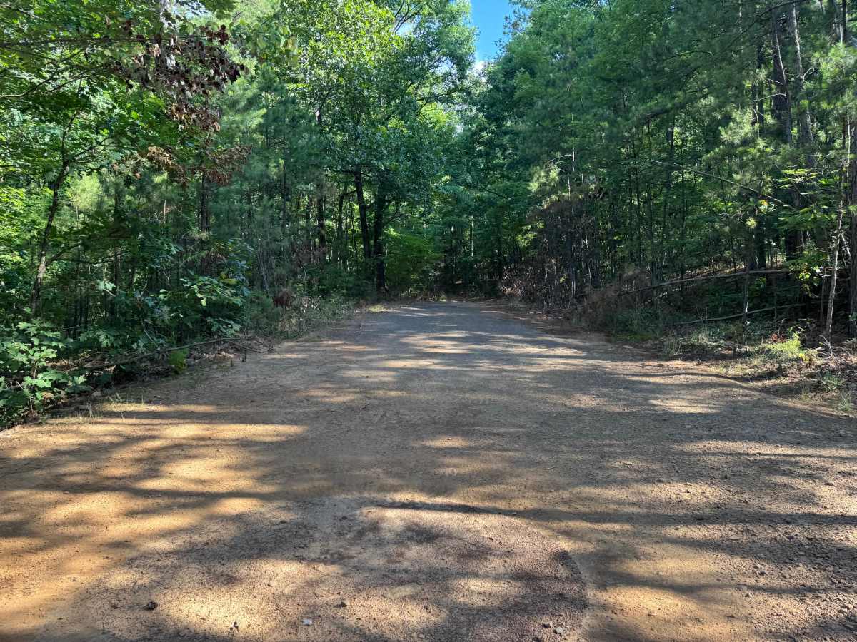Minnow Creek trail photo