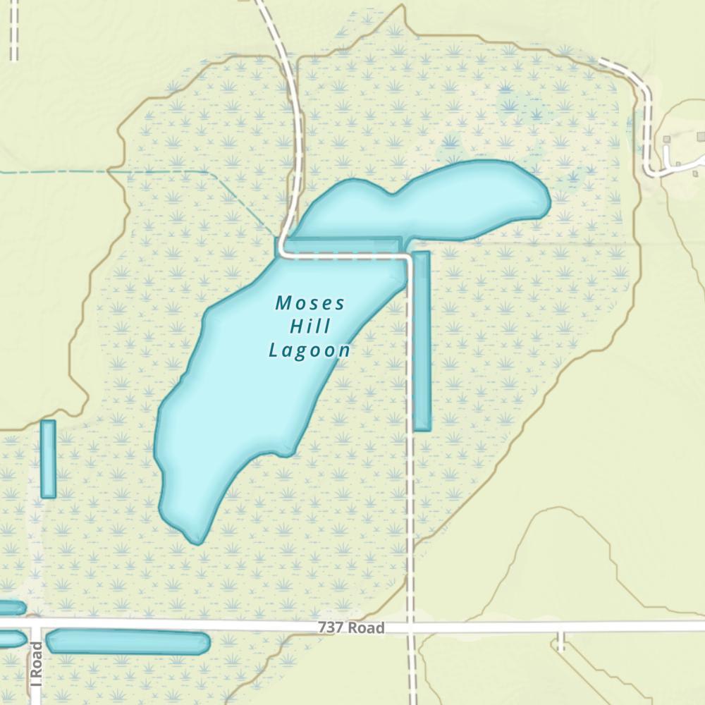Moses Hill Lagoon photo