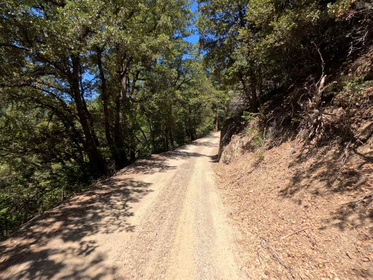 Saddleback Road - CR 509 photo 2
