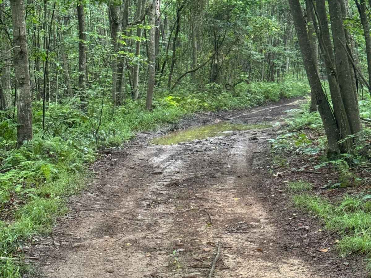 Trail 46 photo 5