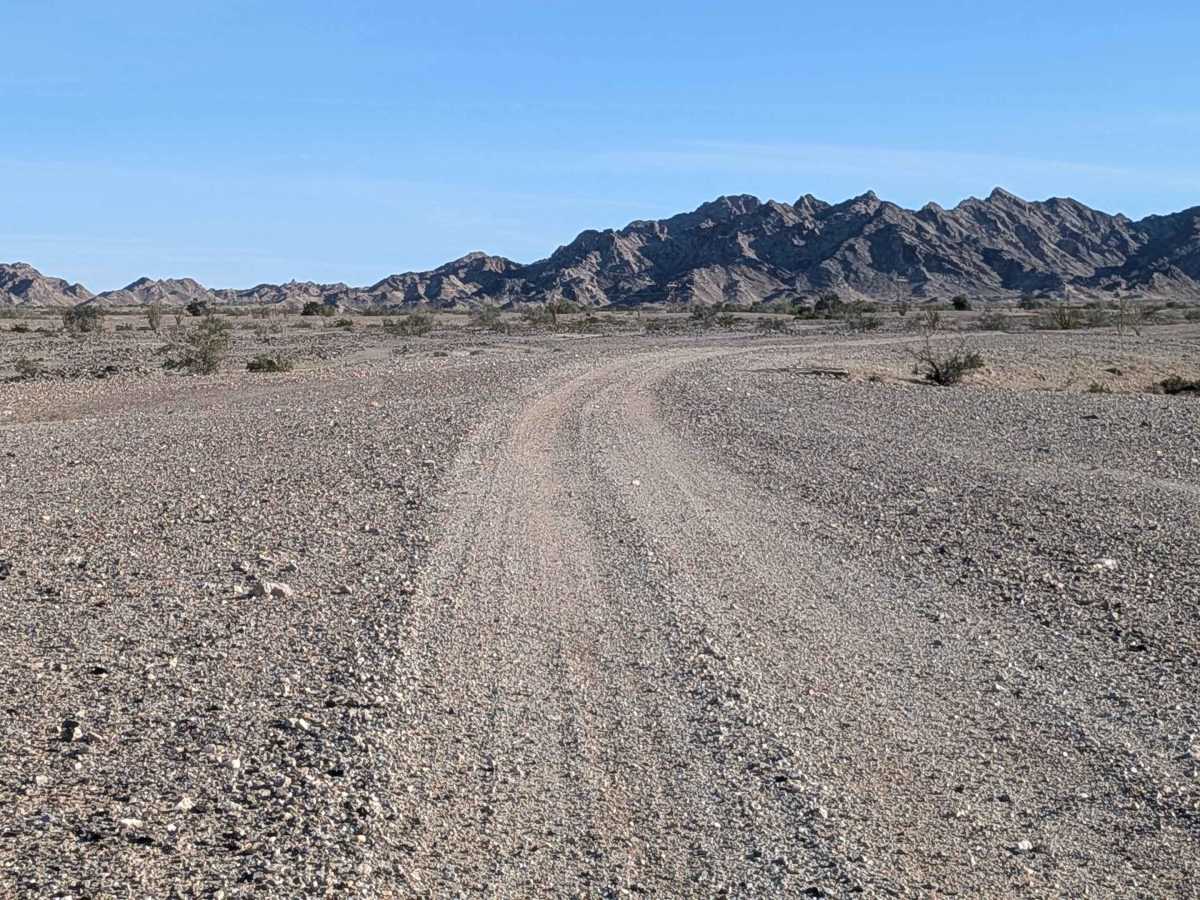BLM 801 photo 4