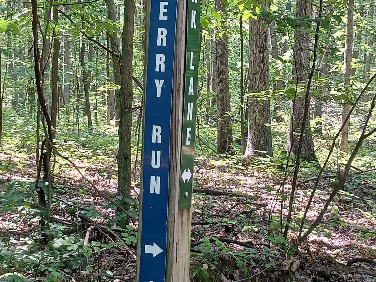 Cherry Run - Rock Run Recreation Area trail photo