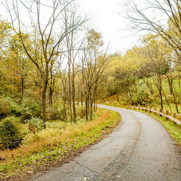 Paved trail section Near Trexler Border Trail