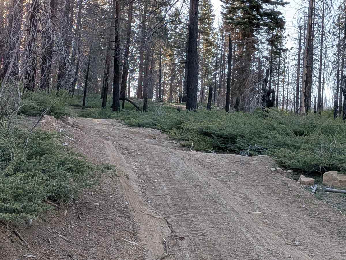 Forks - FS 23S62 trail photo