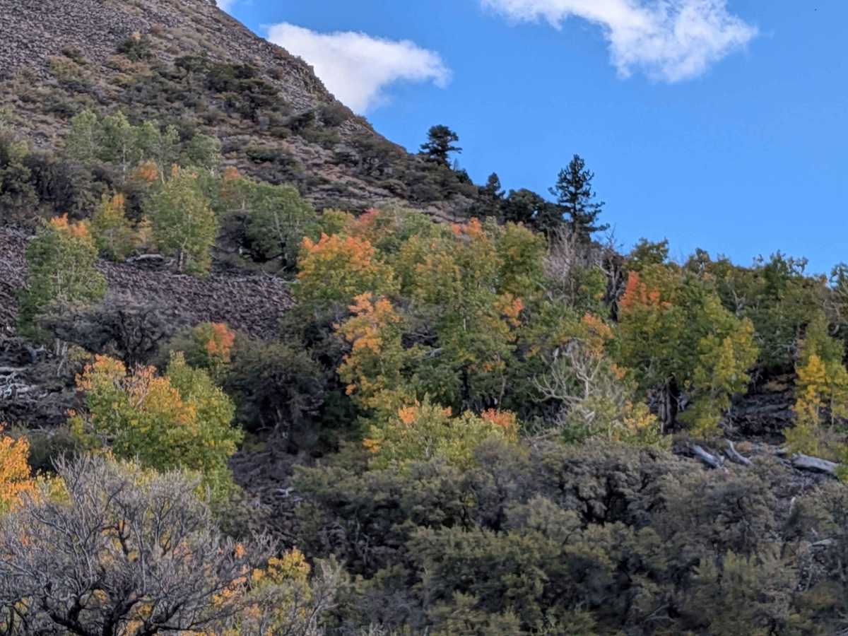 Lost Cannon Creek - FS 32212 photo 2