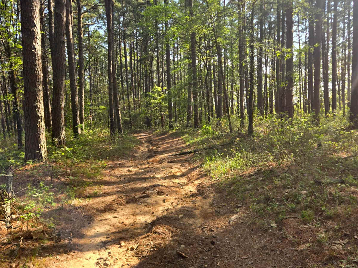 River Ridge photo 5