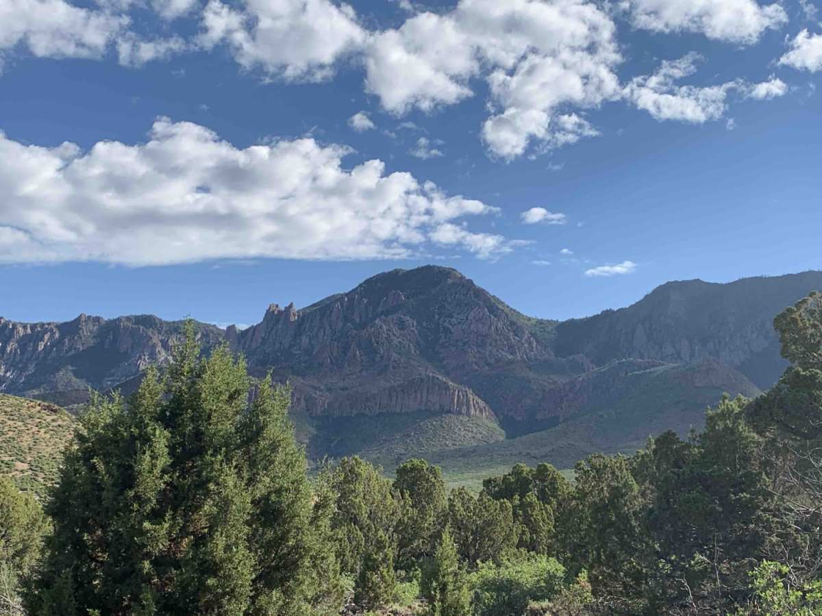 Turkey Road to Lone Pine trail photo