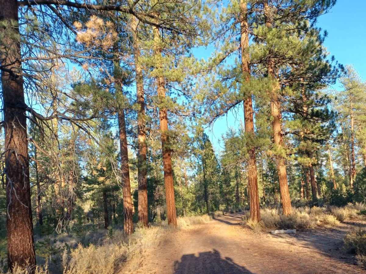 Flat Top photo 4