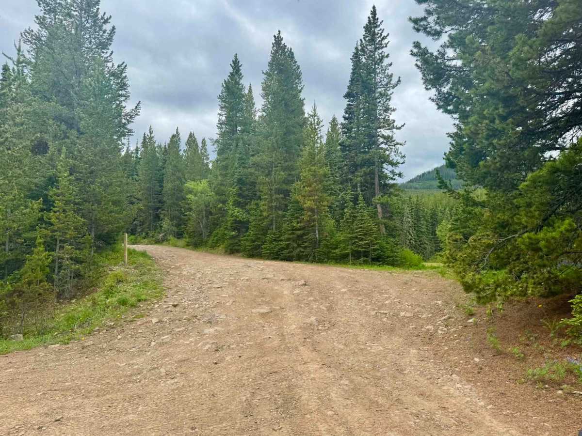 Big Bear Lake Road trail photo