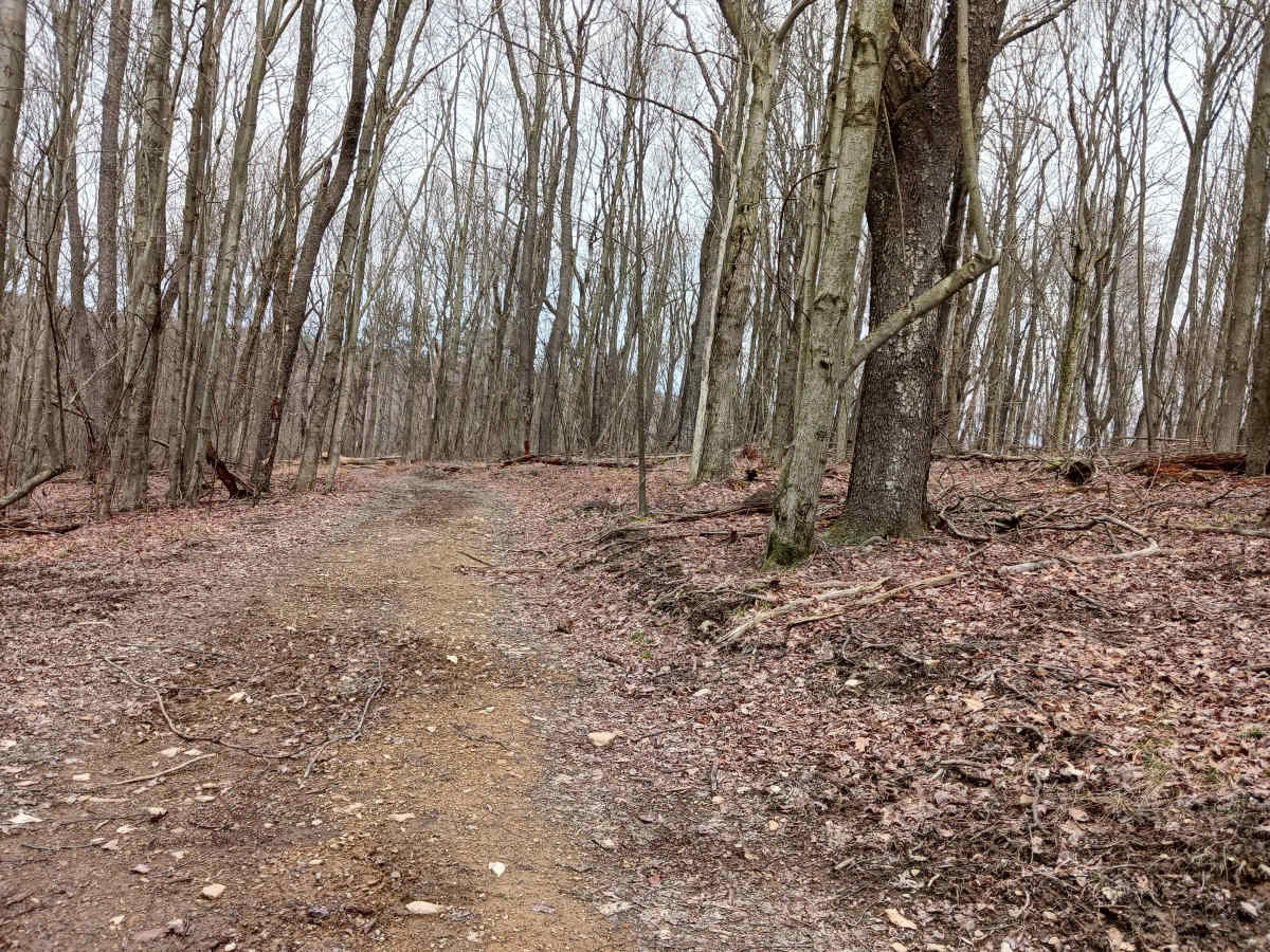 Trail 15 - Rock Run Recreation Area photo 6