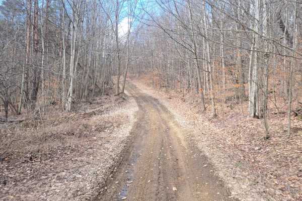 BeeBee2