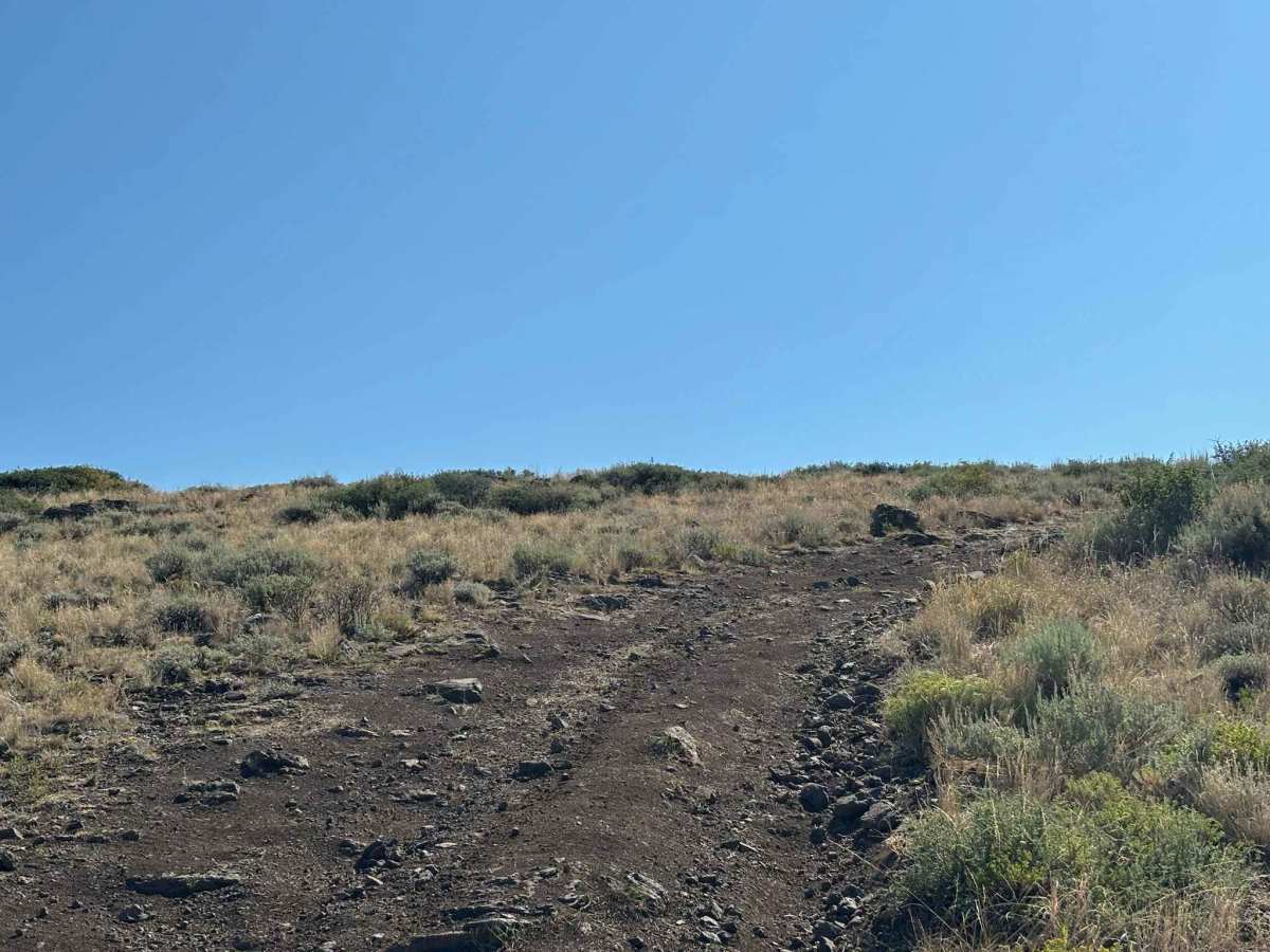 BLM 2759 Cutoff photo 3
