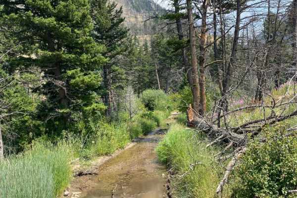 Sixmile Creek Road