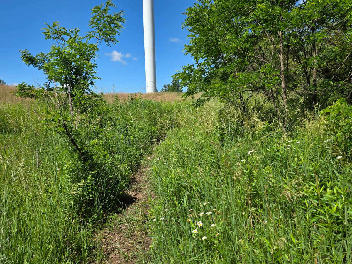 Single Track Z photo 4