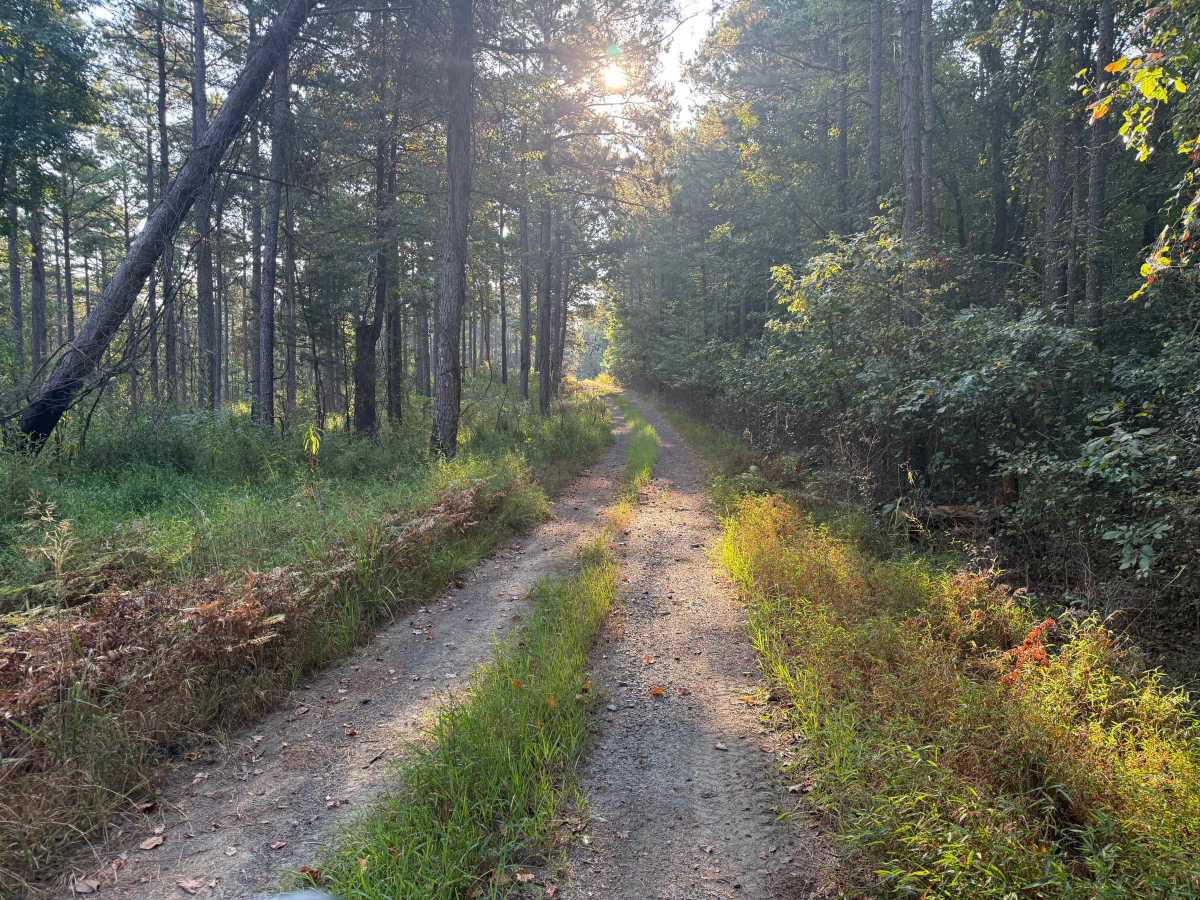 Flat Ridge  photo 6