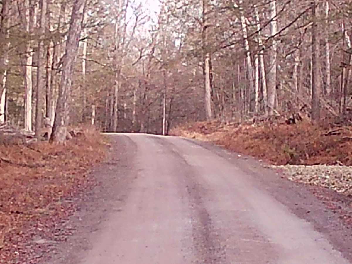 Brunnerdale Road photo 4