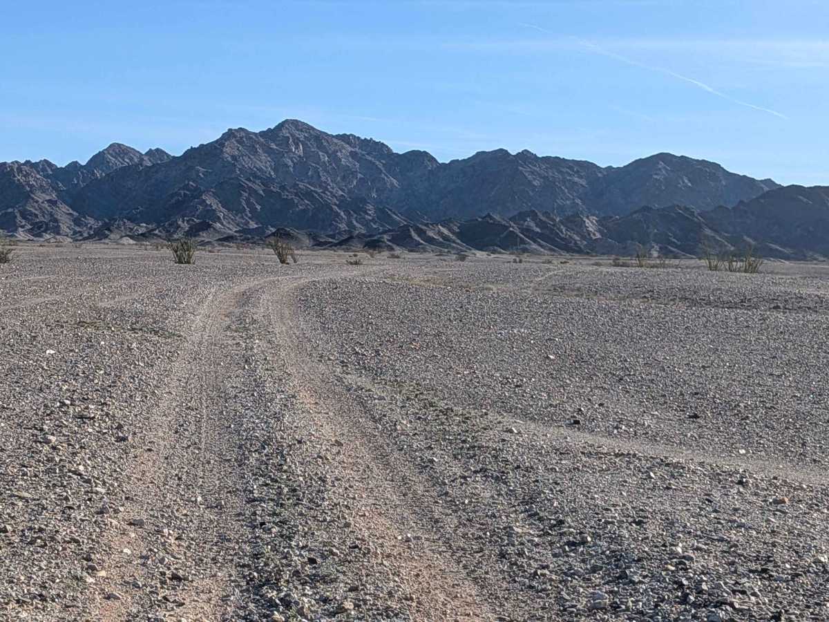 BLM 801 photo 6